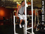 健身房固定器械训练动作计划大全,器械健身详解