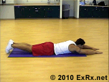 竖脊肌的位置及如何锻炼方法大全