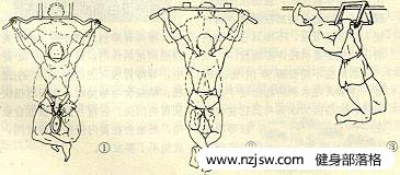 背阔肌锻炼方法，用哑铃、引体向上怎么训练背阔肌