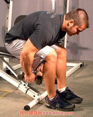 坐姿俯身侧平举（Seated Bent Over Rear Delt Raise）