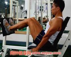腿部肌肉锻炼方法大全,健身房如何训练大腿肌群、小腿肌群