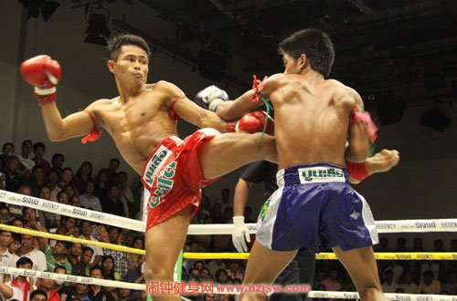 泰幸拳、腿、肘、膝的发力精髓