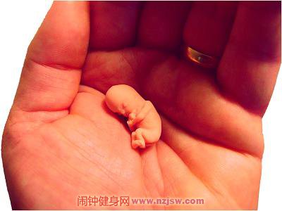 胎儿12个星期的身体发育是什么情况